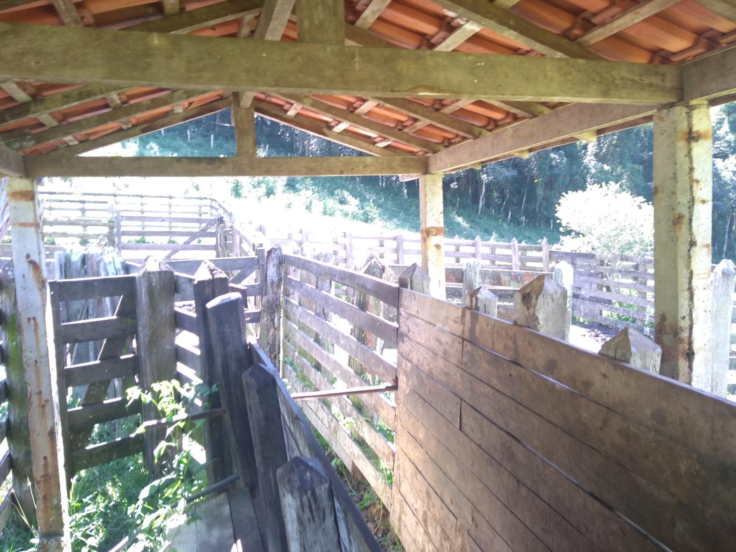 Sítio, 2 quartos, 77 hectares - Foto 9