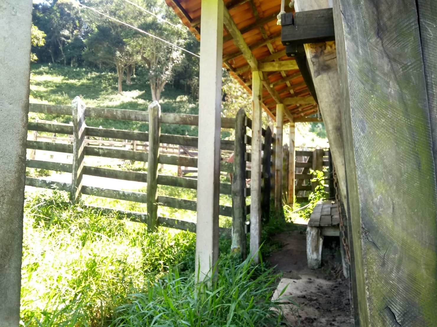 Sítio, 2 quartos, 77 hectares - Foto 10