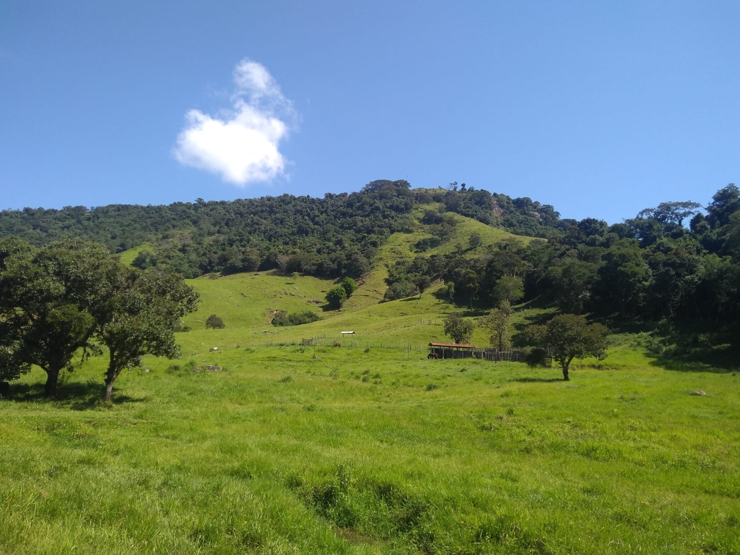 Sítio, 2 quartos, 77 hectares - Foto 11