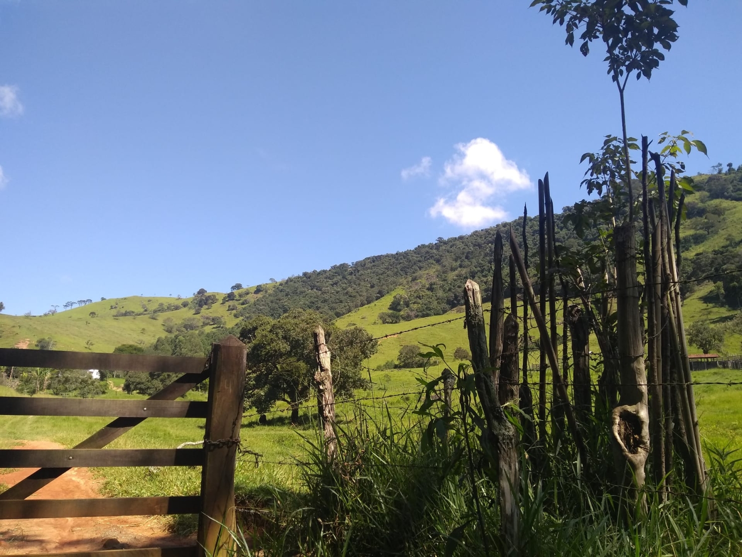 Sítio, 2 quartos, 77 hectares - Foto 13