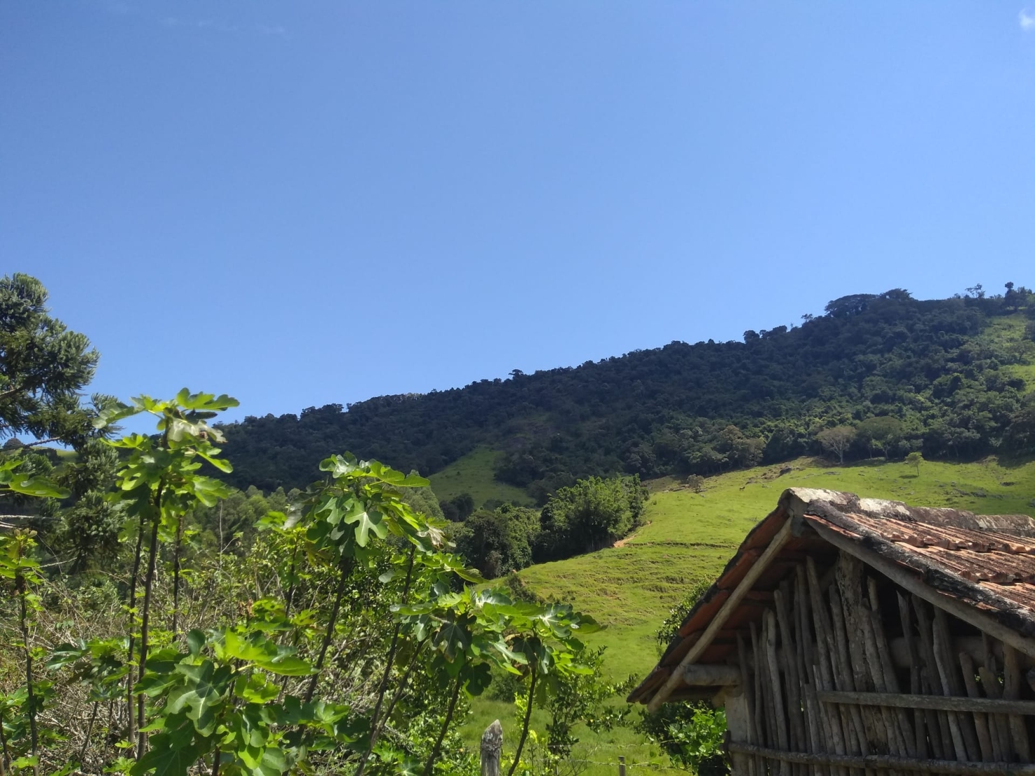 Sítio, 2 quartos, 77 hectares - Foto 16