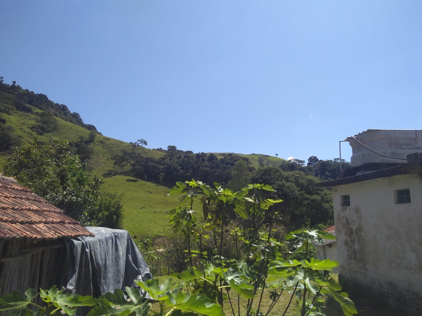 Sítio, 2 quartos, 77 hectares - Foto 17