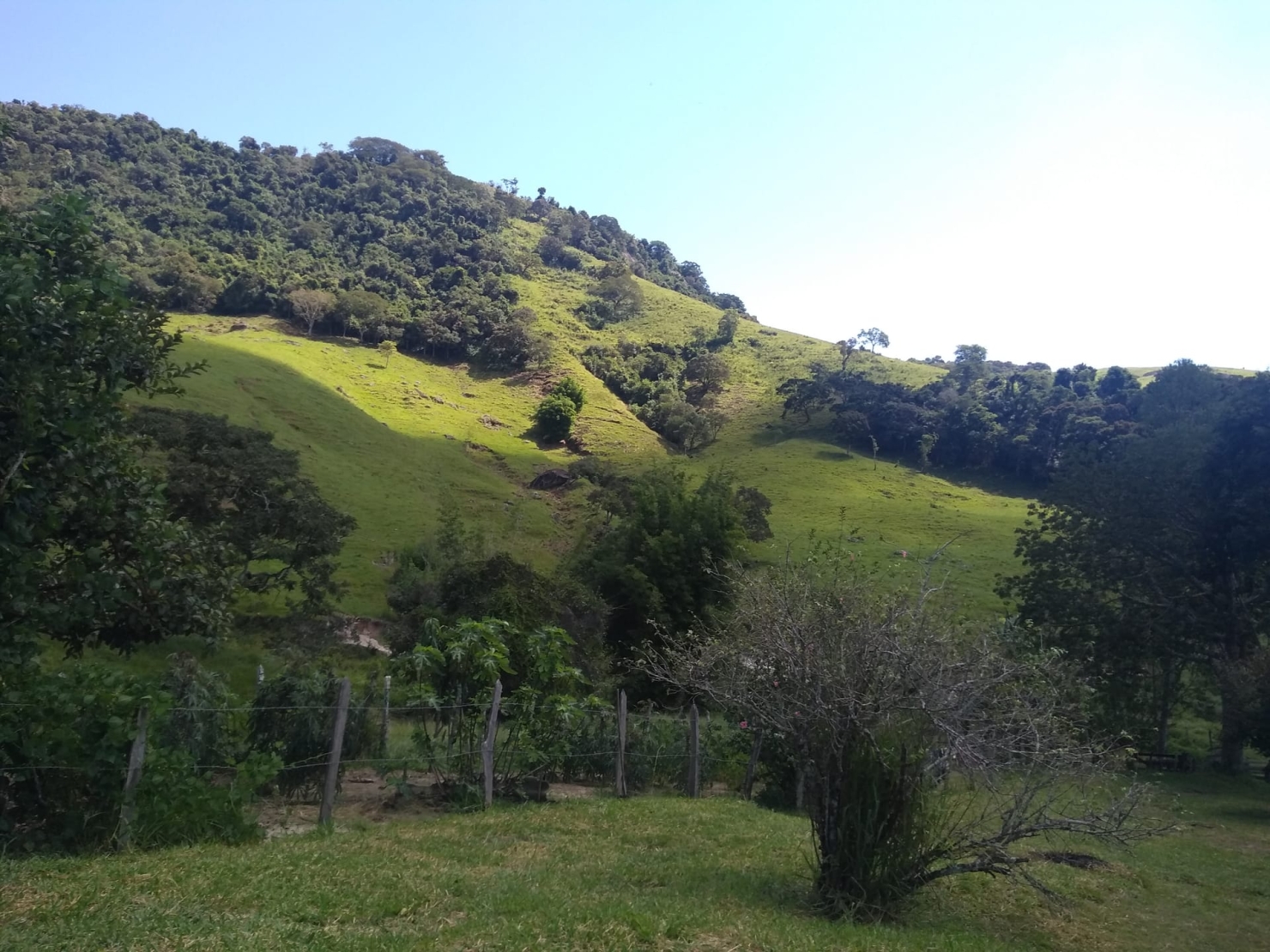 Sítio, 2 quartos, 77 hectares - Foto 18