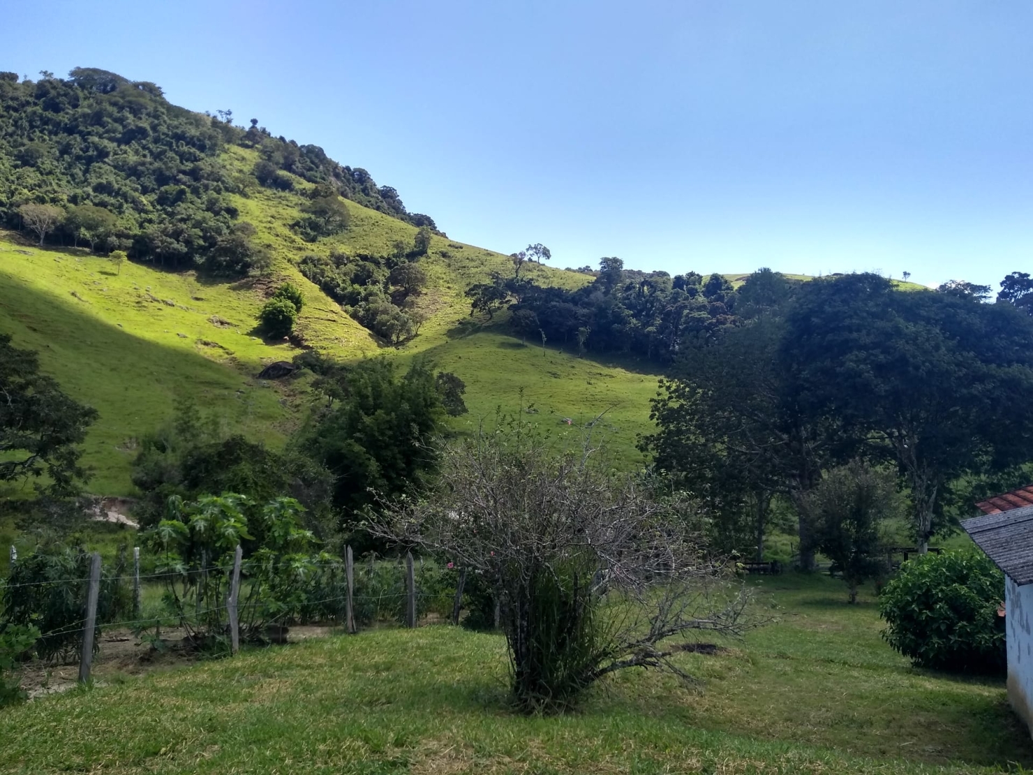 Sítio, 2 quartos, 77 hectares - Foto 19