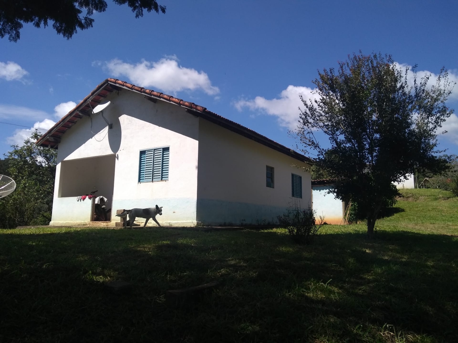 Sítio, 2 quartos, 77 hectares - Foto 21