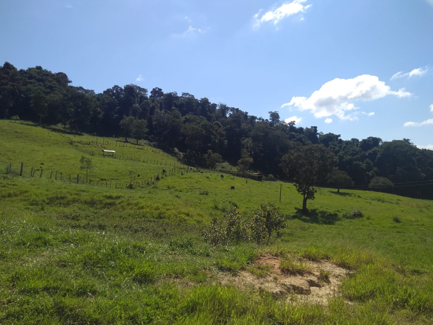 Sítio, 2 quartos, 77 hectares - Foto 23