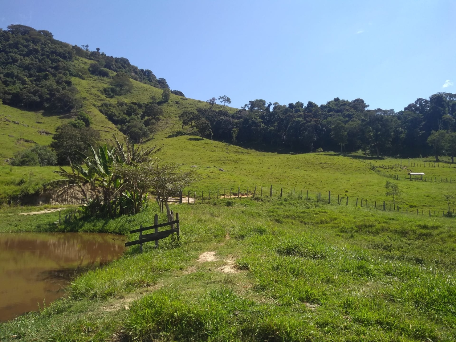 Sítio, 2 quartos, 77 hectares - Foto 24