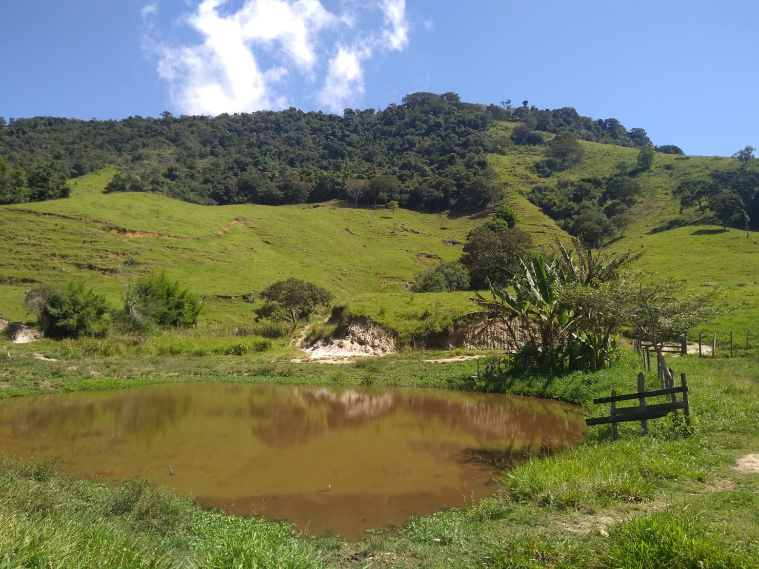 Sítio, 2 quartos, 77 hectares - Foto 25