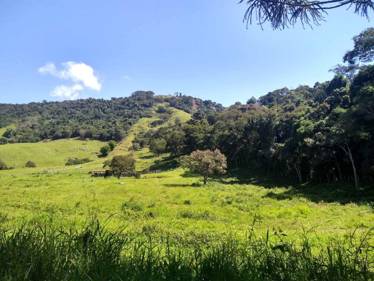 Sítio, 2 quartos, 77 hectares - Foto 26