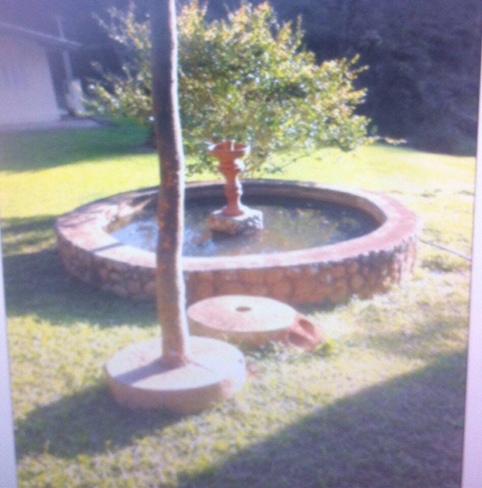 Fazenda, 109 hectares - Foto 6