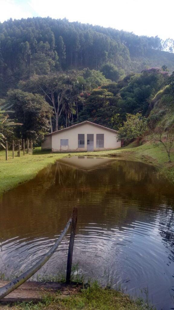 Fazenda, 109 hectares - Foto 10