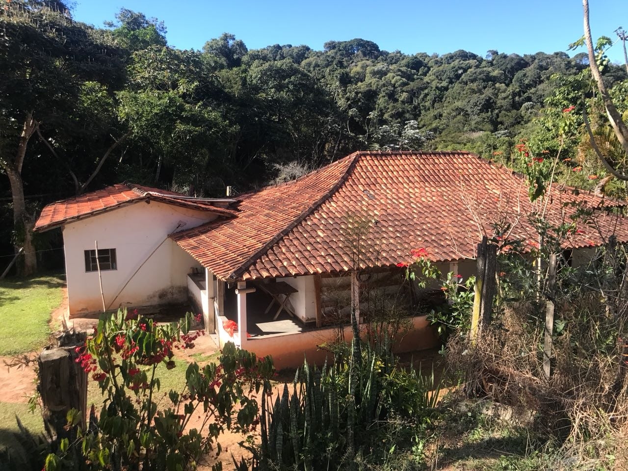 Sítio, 3 quartos, 16 hectares - Foto 2