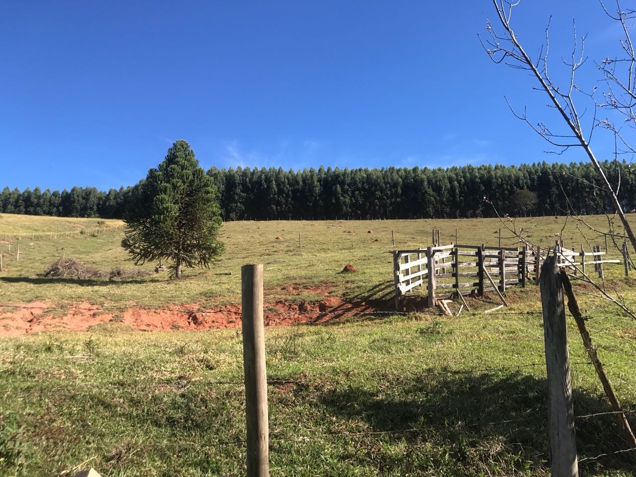 Sítio, 3 quartos, 16 hectares - Foto 8