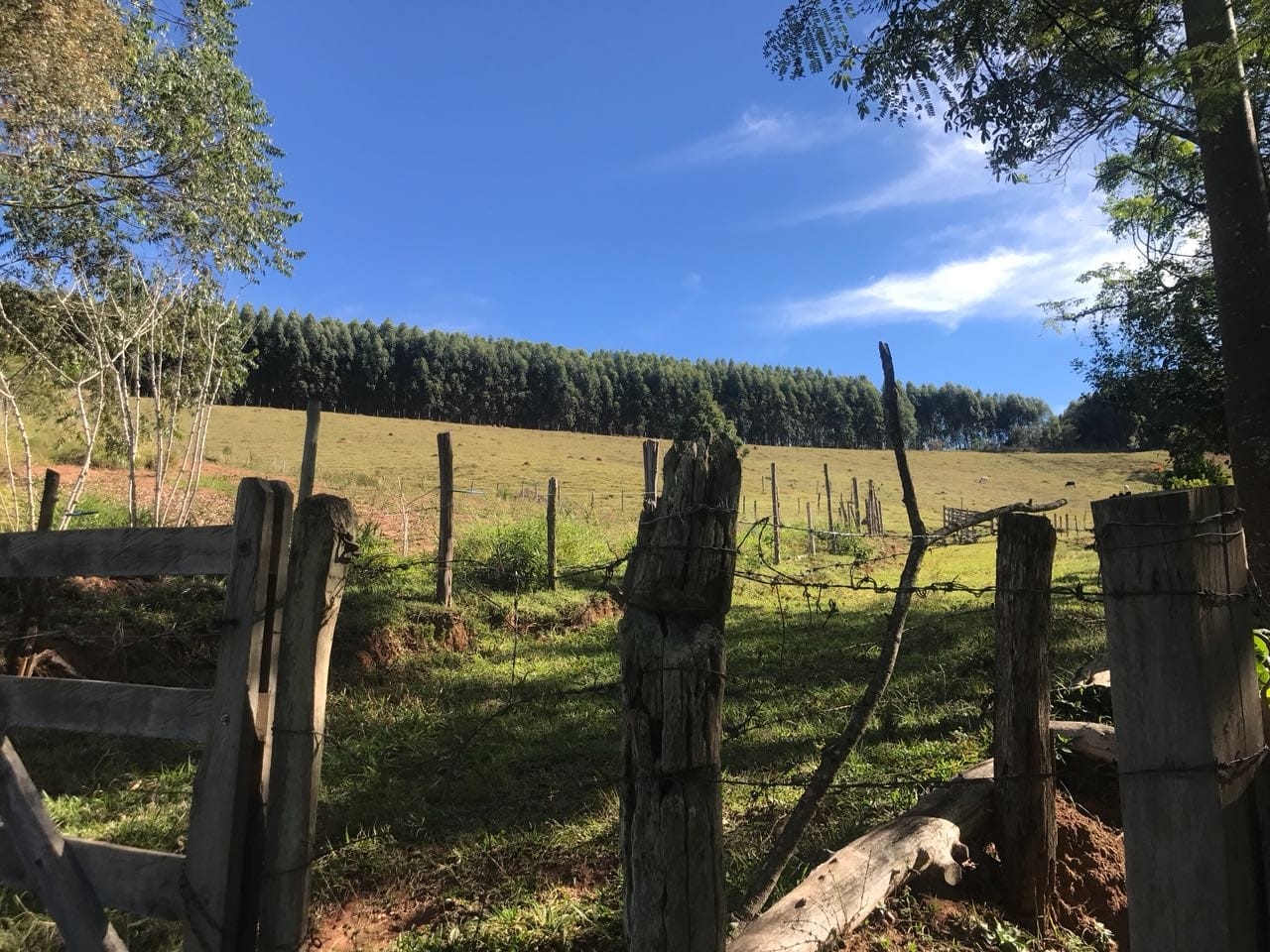 Sítio, 3 quartos, 16 hectares - Foto 12