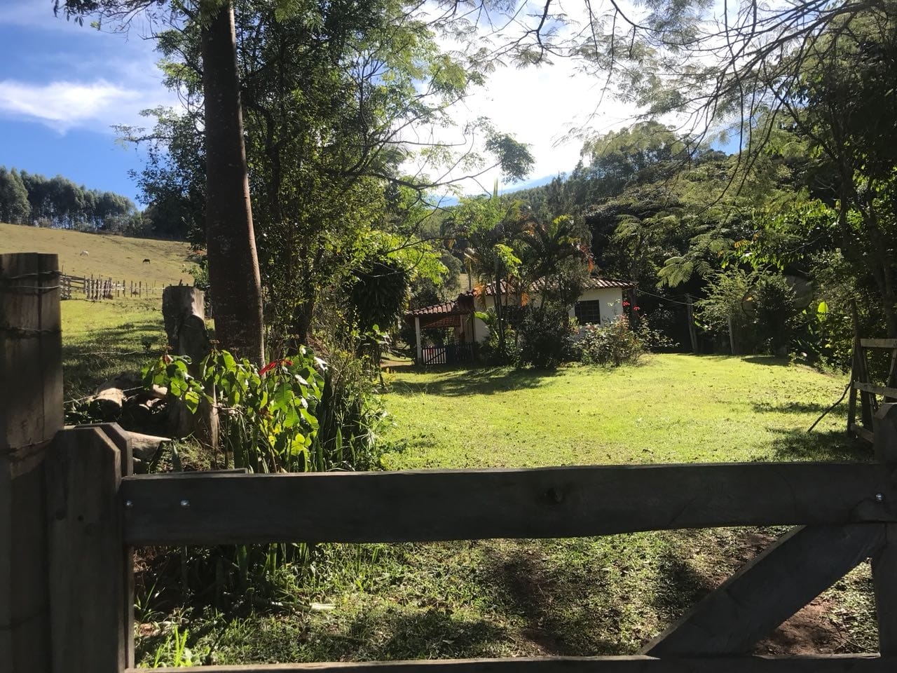 Sítio, 3 quartos, 16 hectares - Foto 13