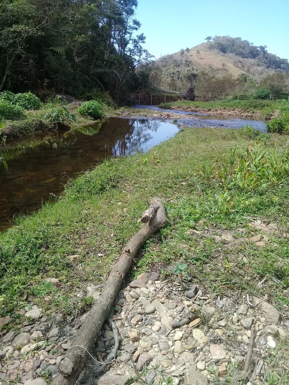 Terreno, 4 hectares - Foto 11