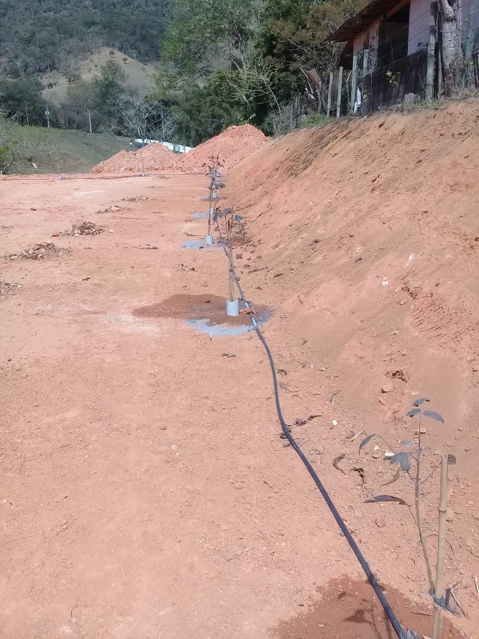 Terreno, 4 hectares - Foto 12