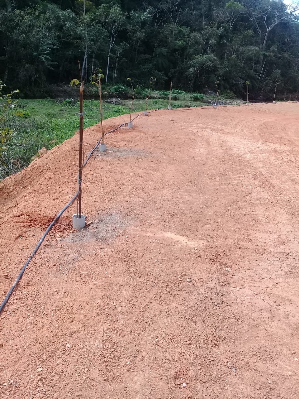 Terreno, 4 hectares - Foto 13