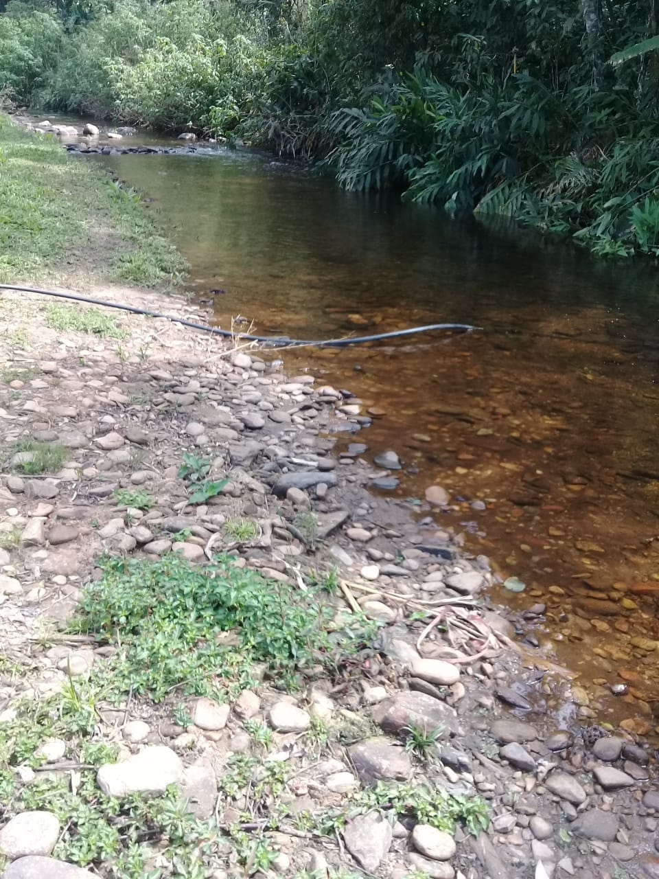 Terreno, 4 hectares - Foto 14