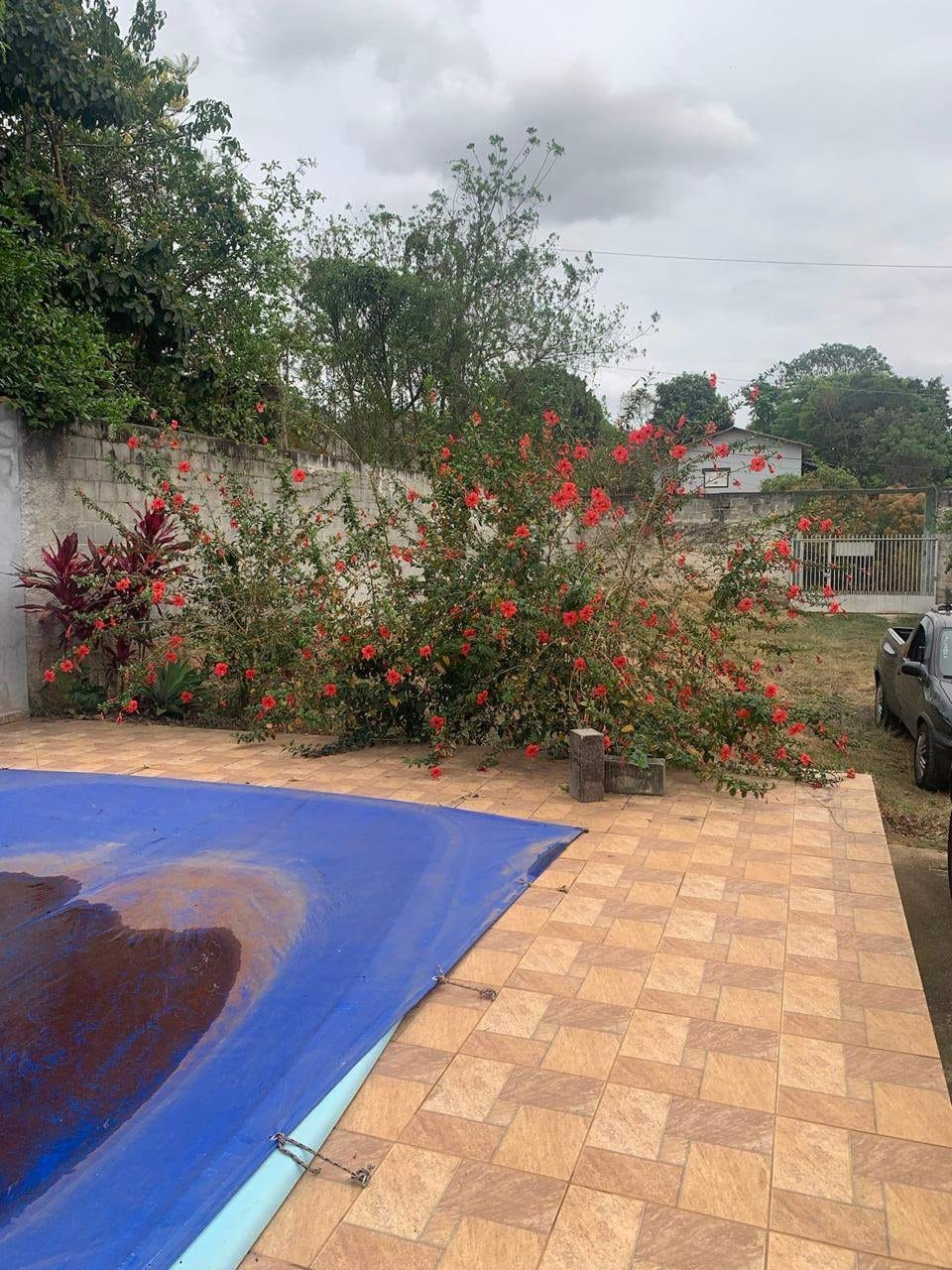 Sítio, 2 quartos, 700 m² - Foto 36