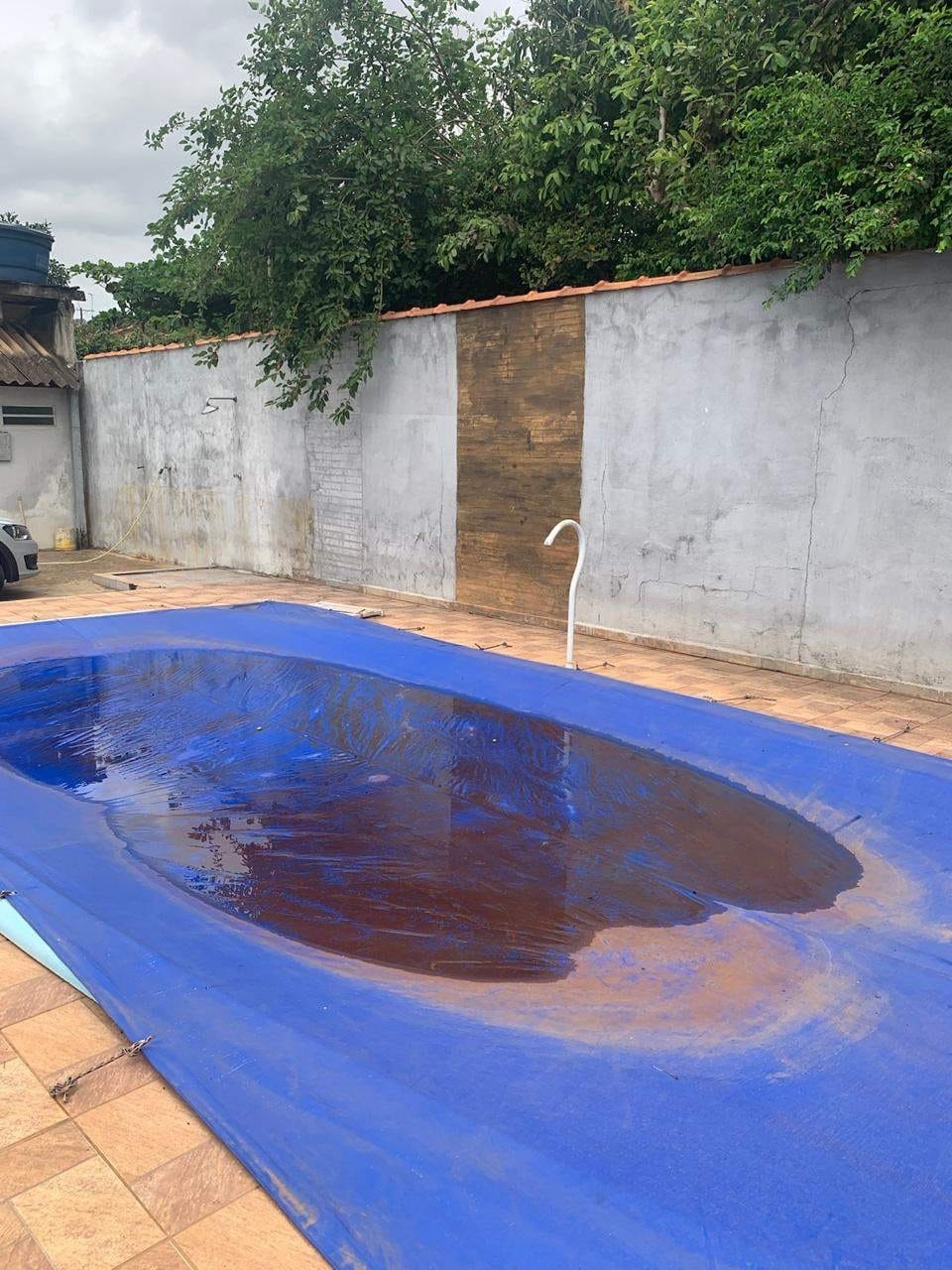 Sítio, 2 quartos, 700 m² - Foto 38