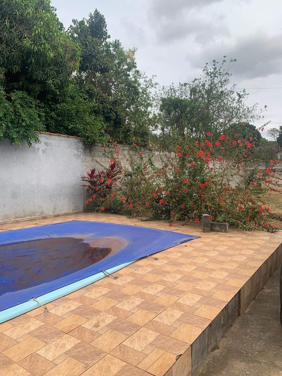 Sítio, 2 quartos, 700 m² - Foto 39