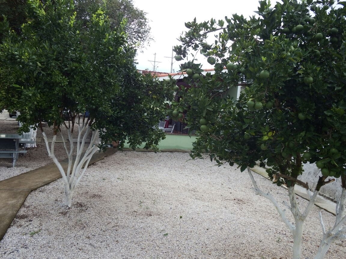 Chácara, 3 quartos, 1567 m² - Foto 20