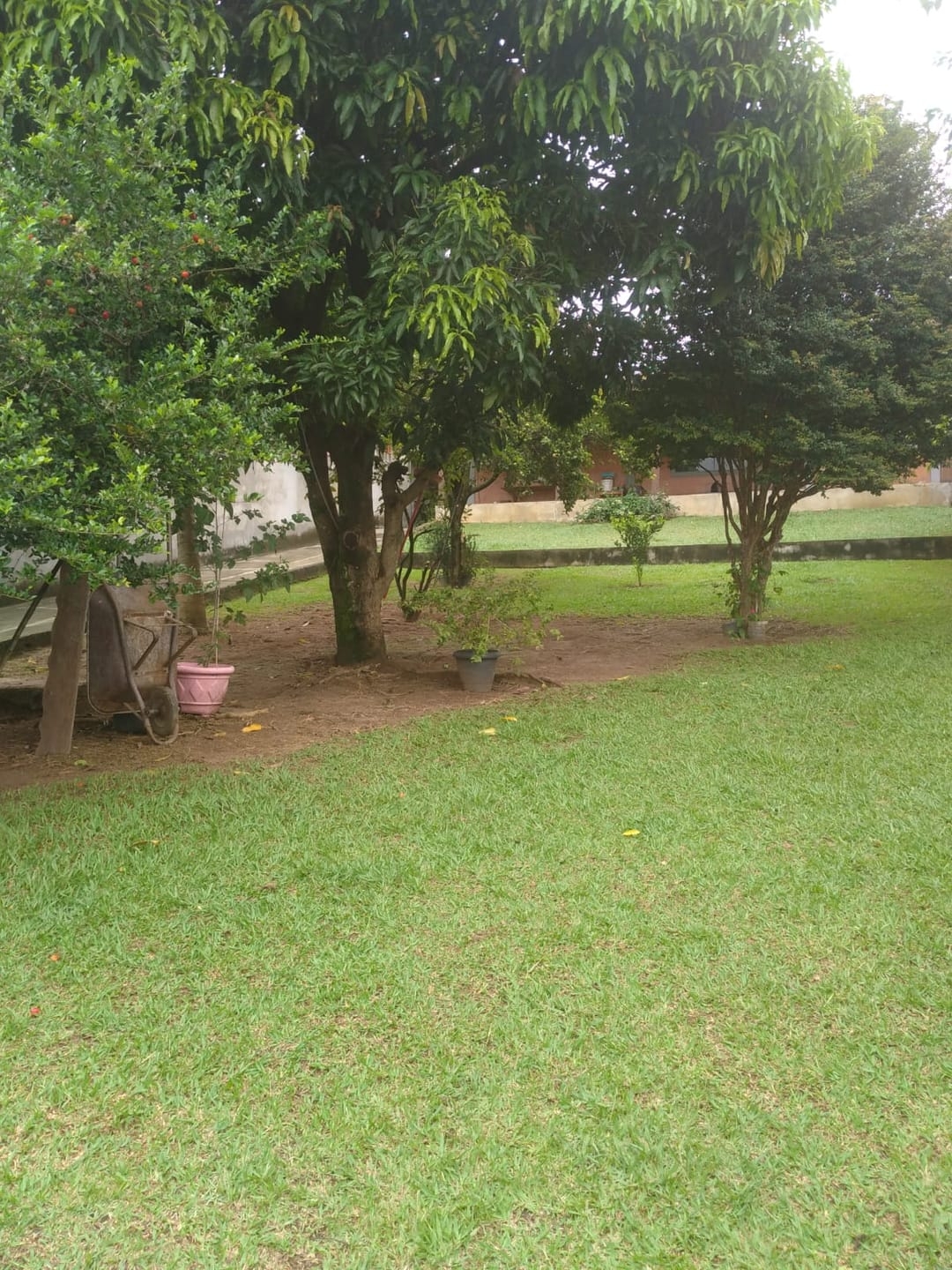 Chácara, 3 quartos, 650 m² - Foto 10