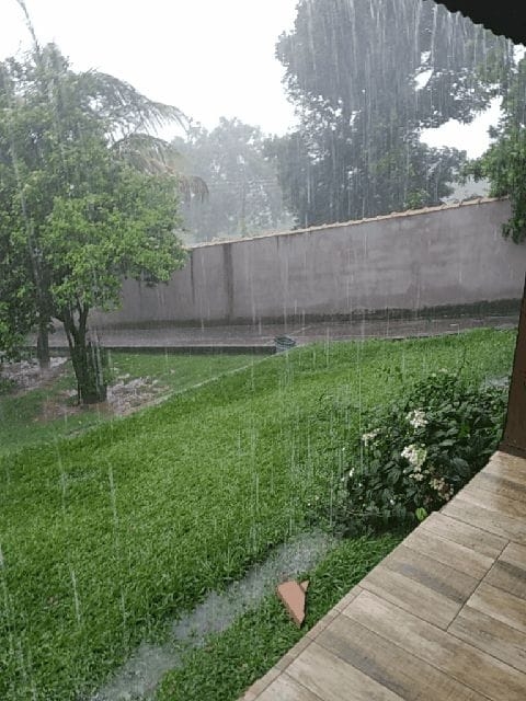 Chácara, 3 quartos, 650 m² - Foto 14