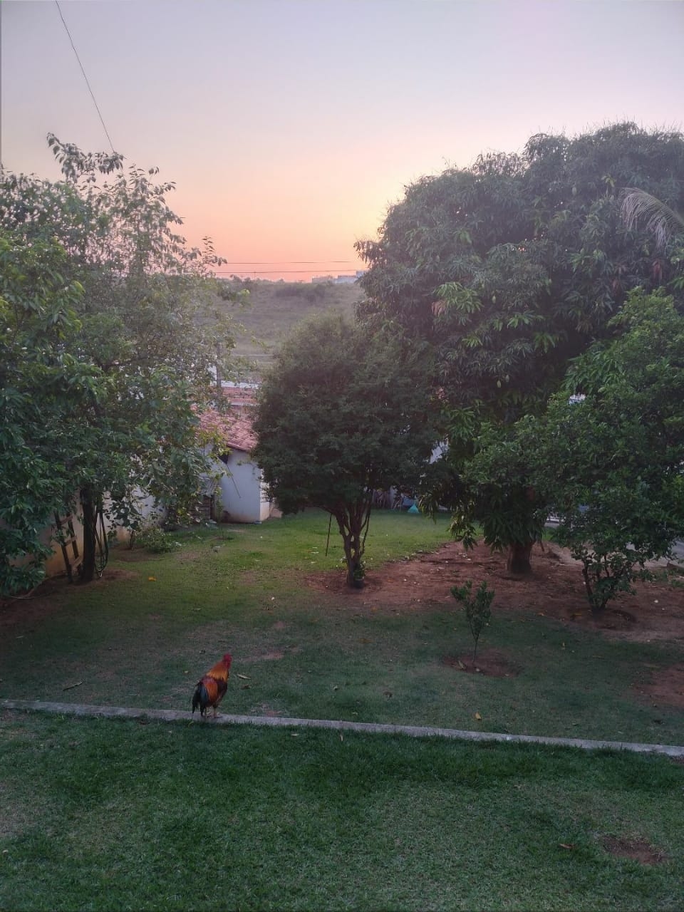 Chácara, 3 quartos, 650 m² - Foto 16