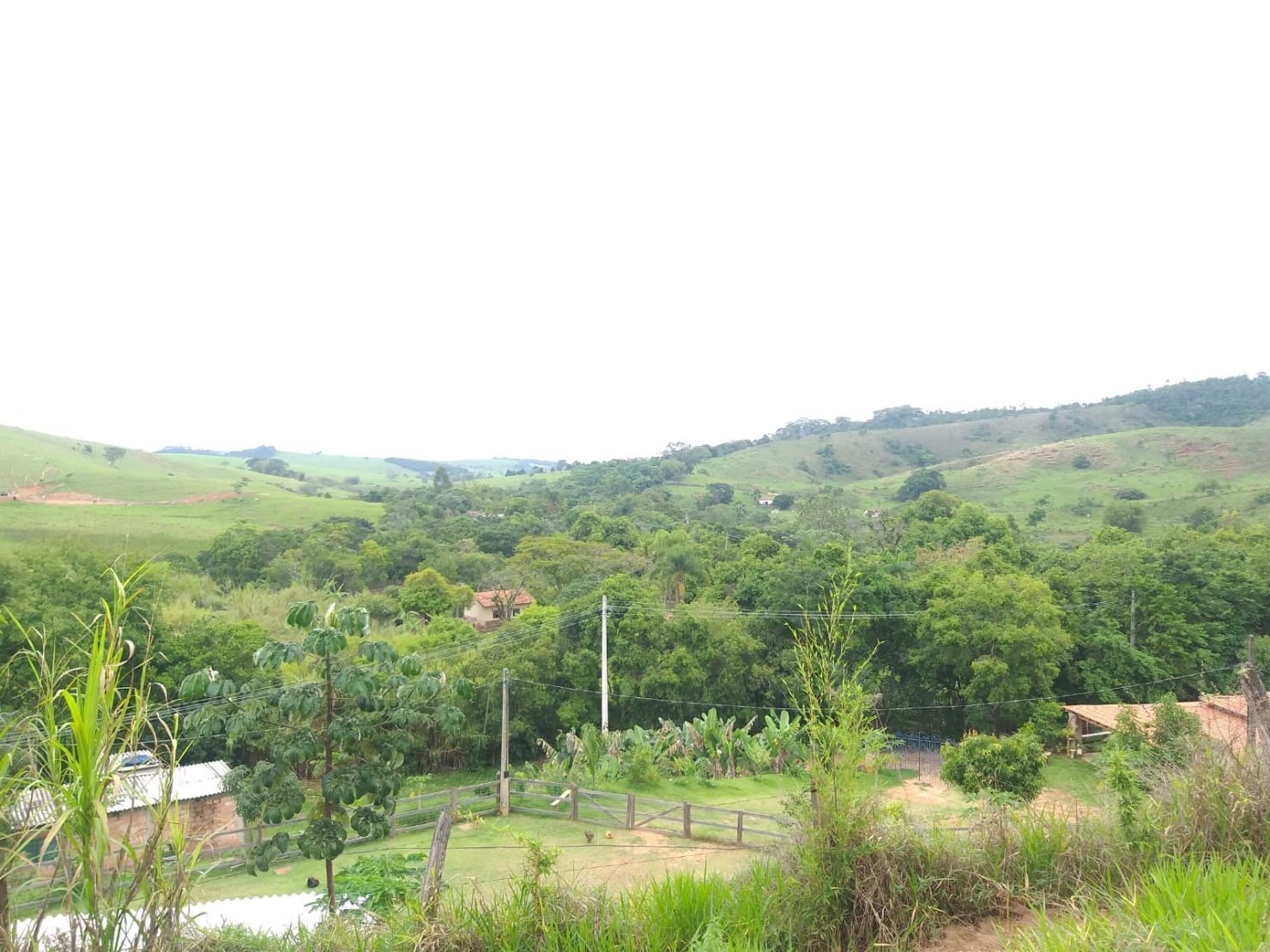 Chácara, 2 quartos, 6000 m² - Foto 3