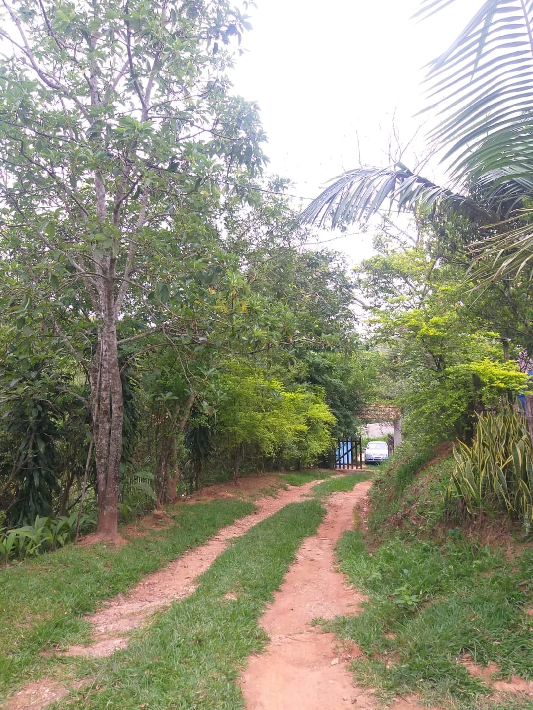 Chácara, 2 quartos, 6000 m² - Foto 6