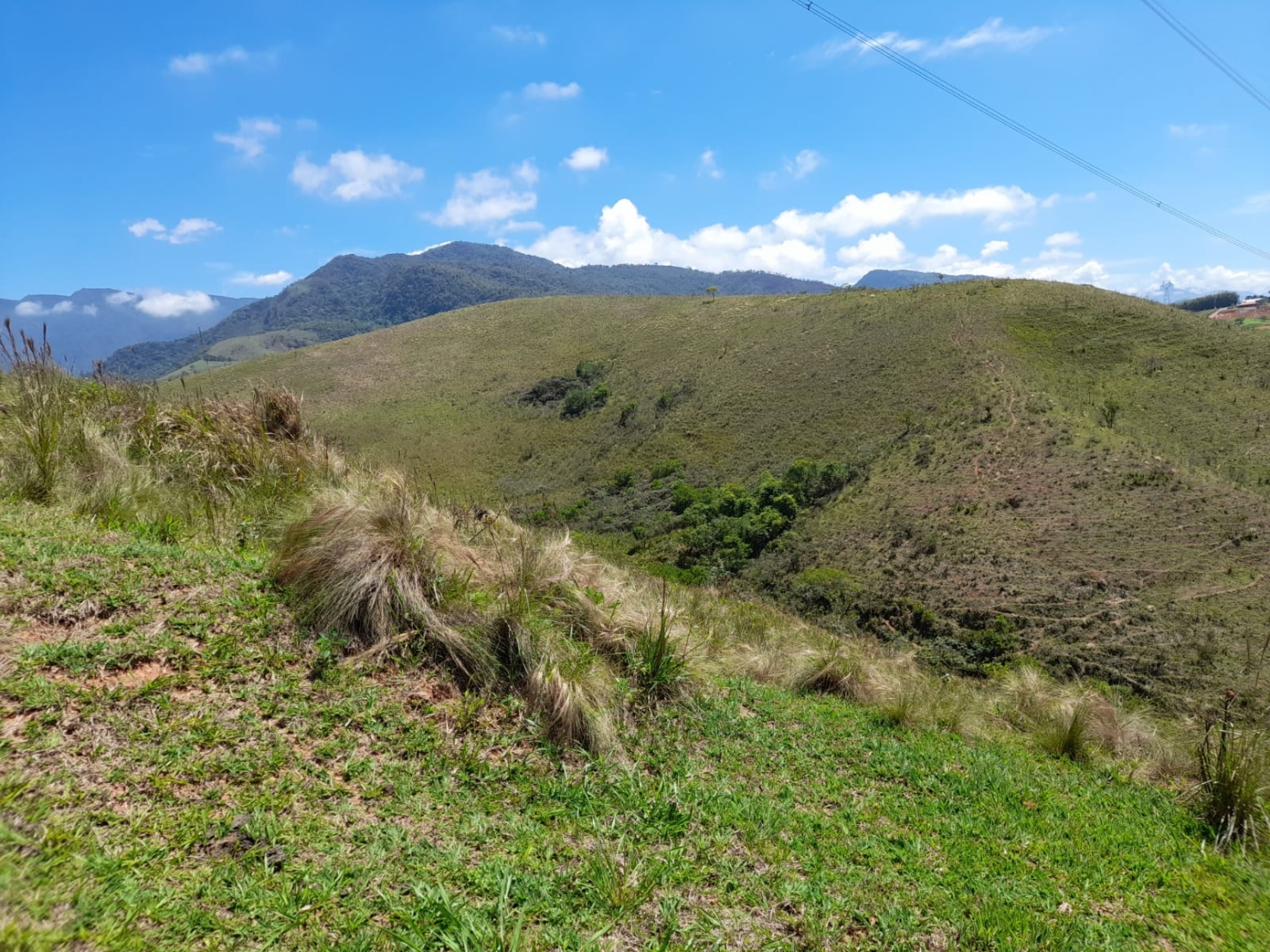 Terreno, 2 hectares - Foto 5