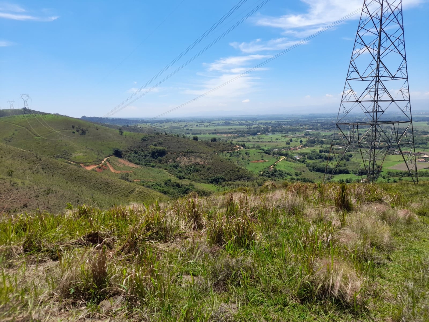 Terreno, 2 hectares - Foto 7