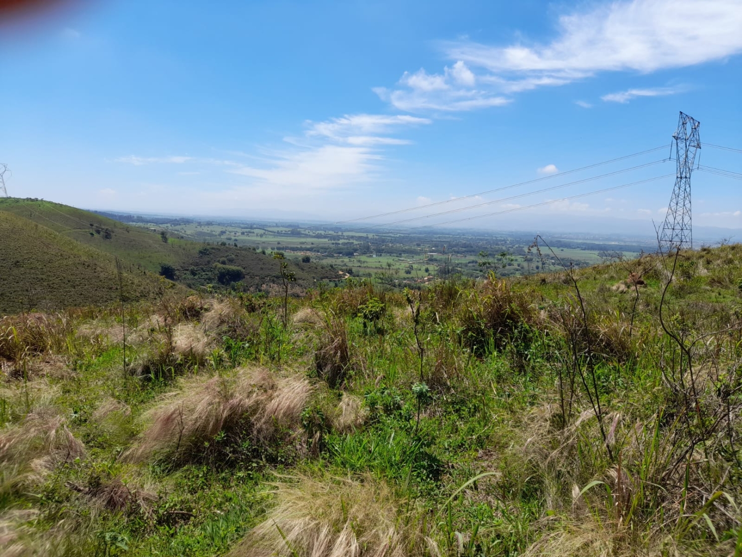 Terreno, 2 hectares - Foto 8