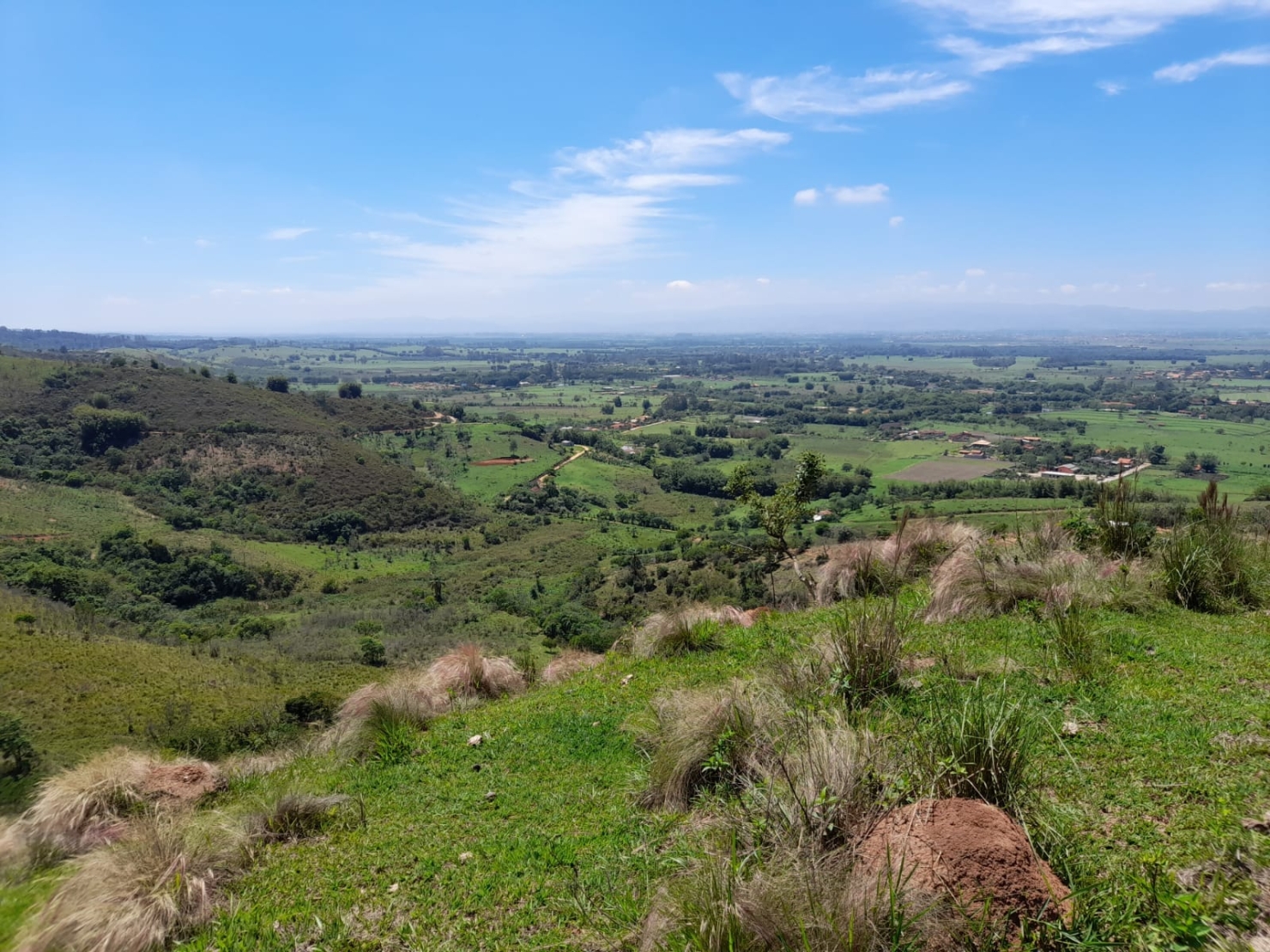 Terreno, 2 hectares - Foto 11