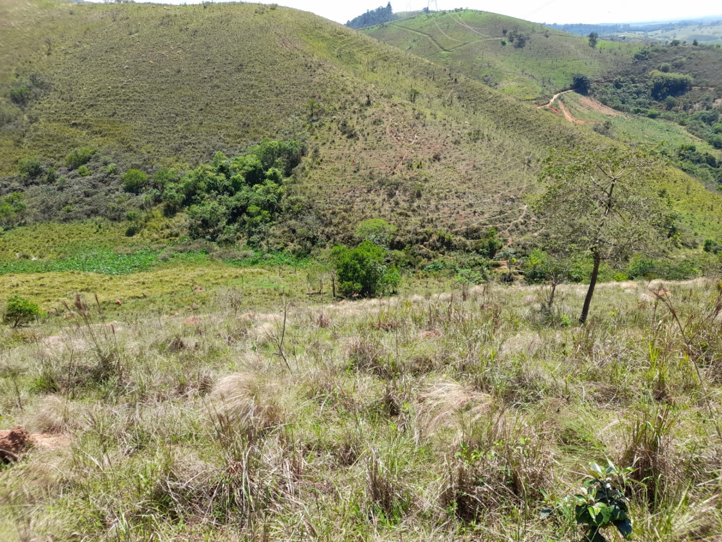 Terreno, 2 hectares - Foto 12