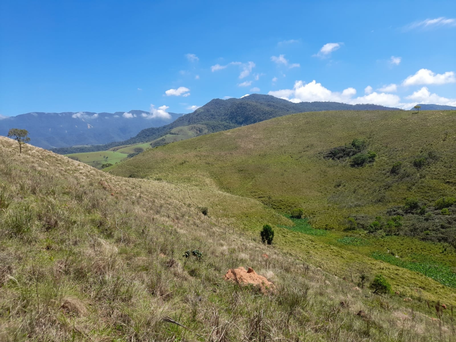 Terreno, 2 hectares - Foto 13