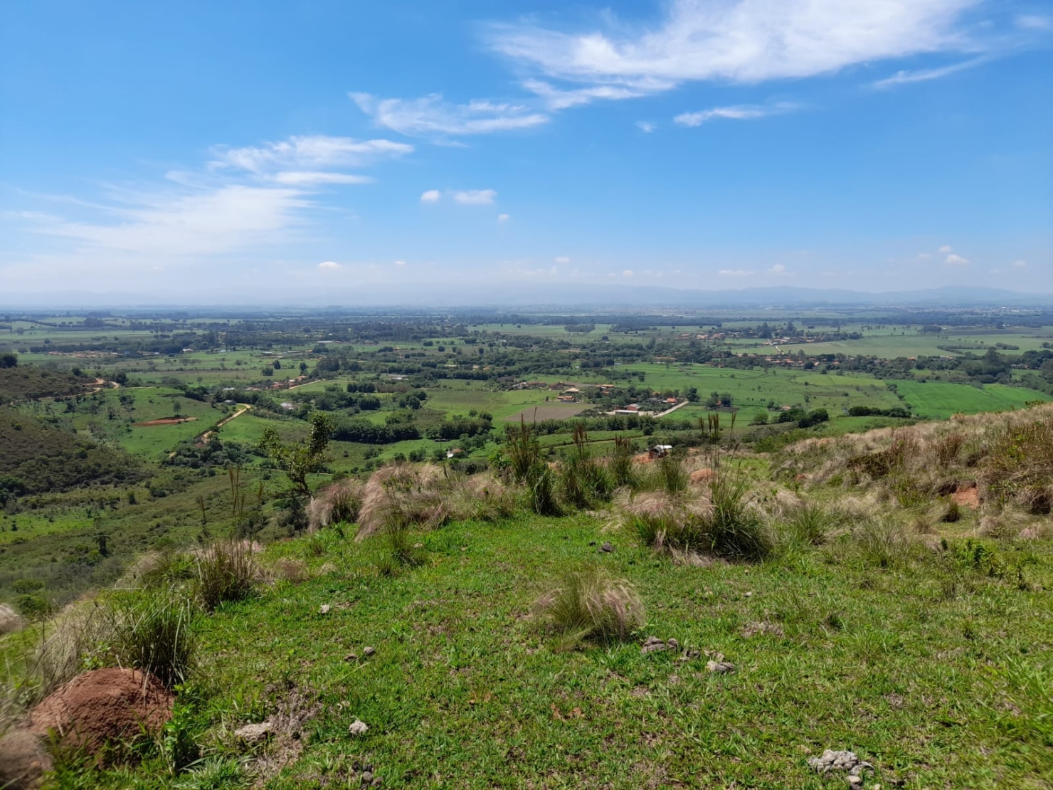 Terreno, 2 hectares - Foto 14