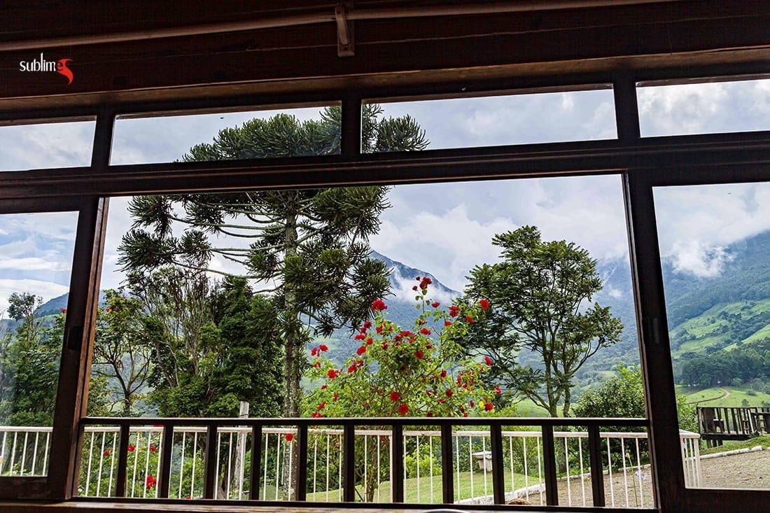 Chácara, 9 quartos, 2 hectares - Foto 4