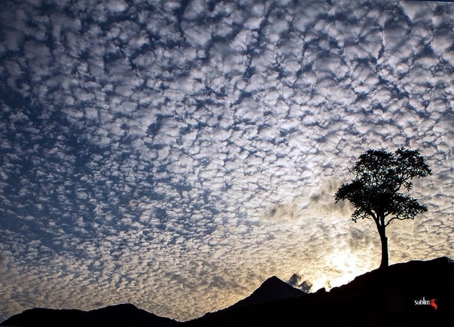 Chácara, 9 quartos, 2 hectares - Foto 5