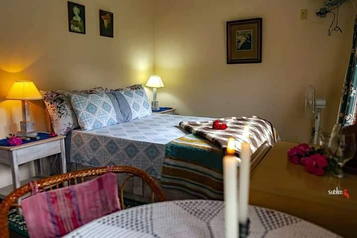 Chácara, 9 quartos, 2 hectares - Foto 8