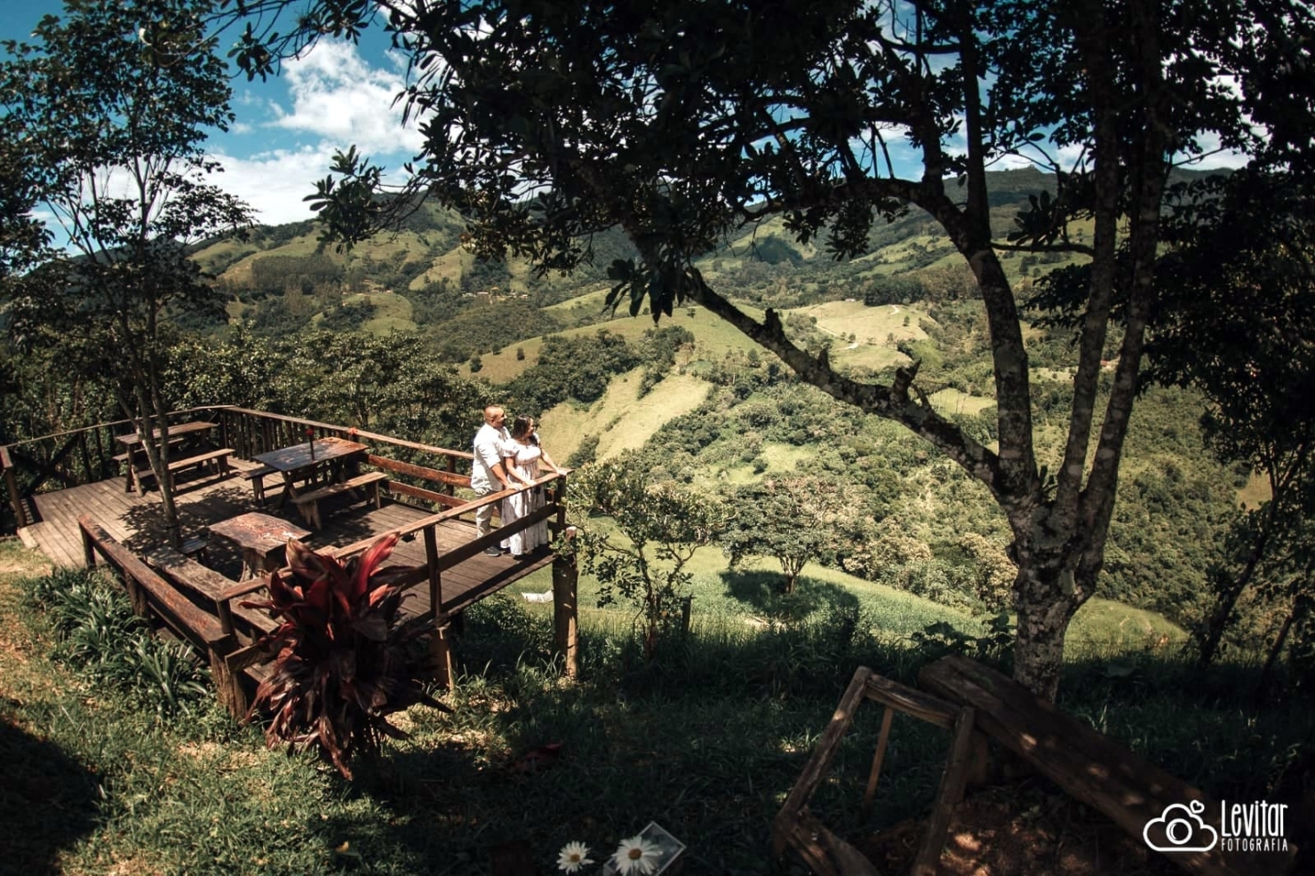 Chácara, 9 quartos, 2 hectares - Foto 15