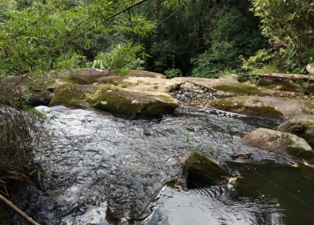 Sítio, 2 quartos, 17 hectares - Foto 1