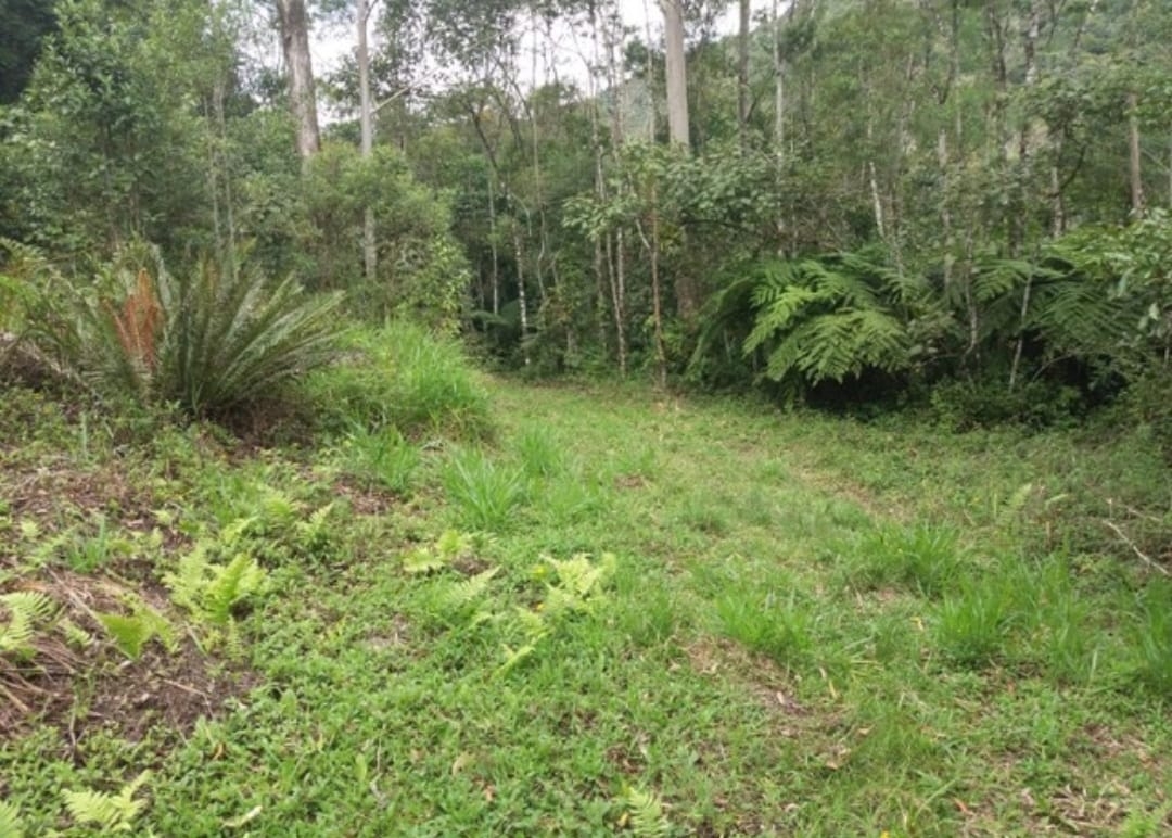 Sítio, 2 quartos, 17 hectares - Foto 2