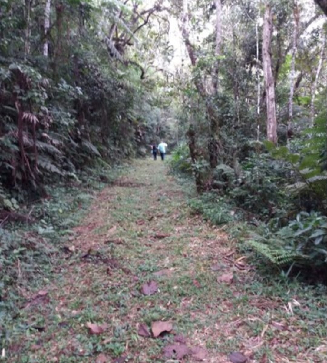 Sítio, 2 quartos, 17 hectares - Foto 3