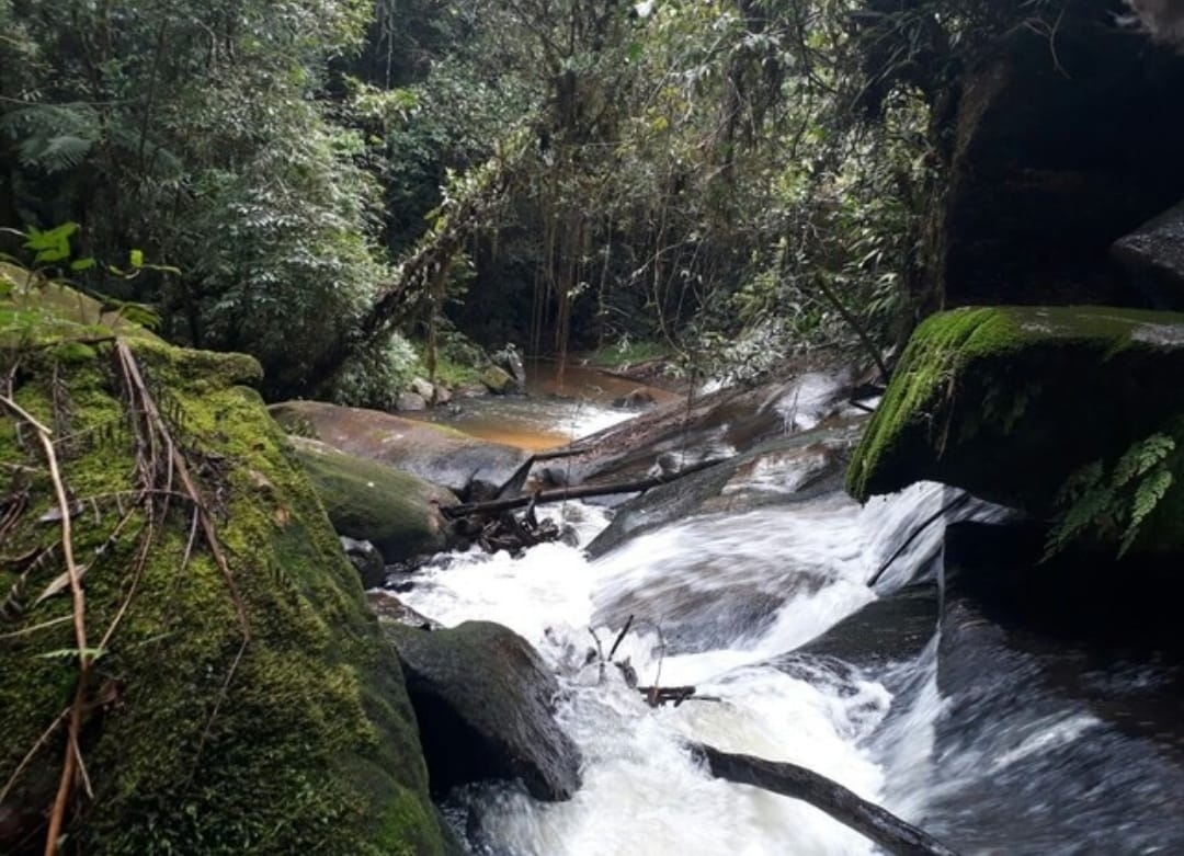 Sítio, 2 quartos, 17 hectares - Foto 4