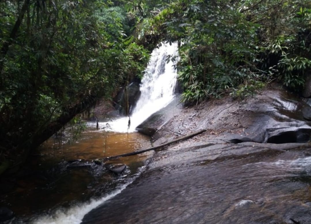 Sítio, 2 quartos, 17 hectares - Foto 5