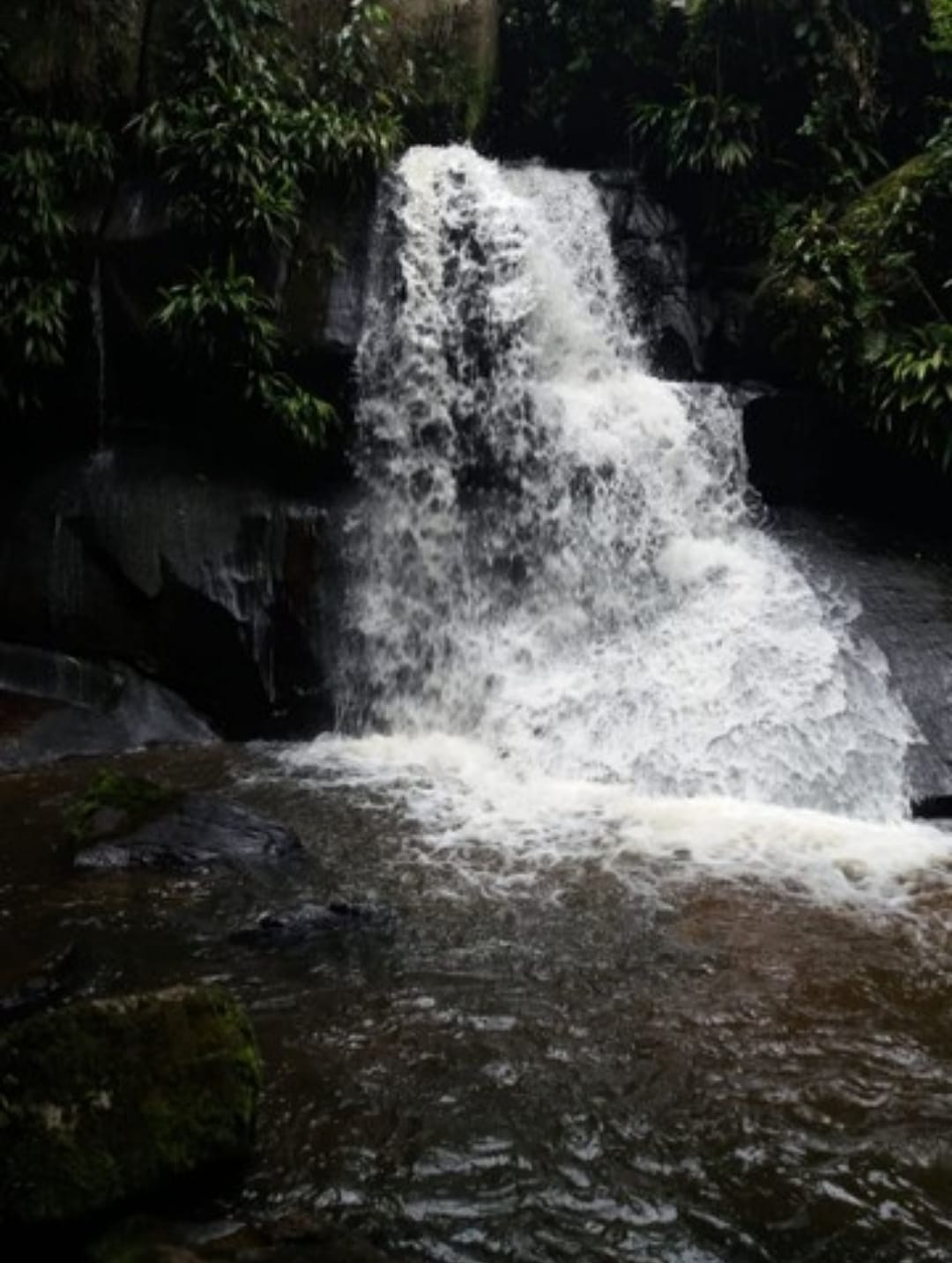 Sítio, 2 quartos, 17 hectares - Foto 15