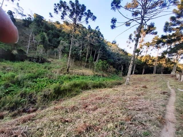Terreno, 17 hectares - Foto 7